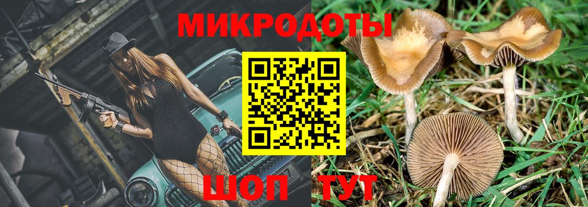 Галлюциногенные грибы Magic Shrooms Полевской